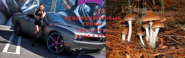 бошки Балахна